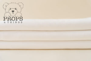 Beanbag Backdrop White